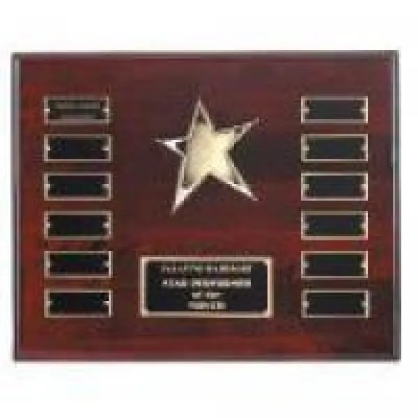 Perpetual recognition plaque