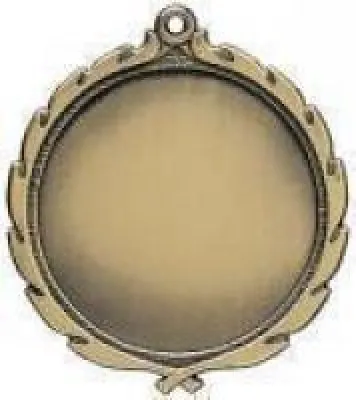 Activity Insert Medal Awards