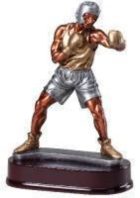 Boxing Trophy Awards