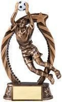 Bronze and Gold Star Resin Trophy Awards