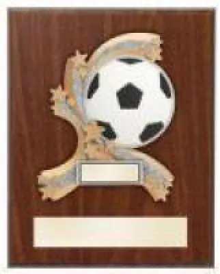 Economy Plaque Awards