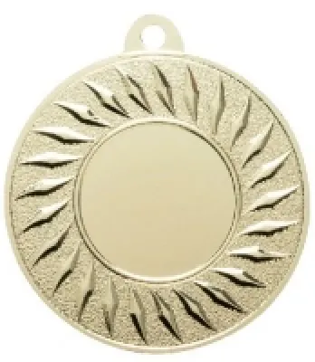 High Quality Insert Holder Medal Awards