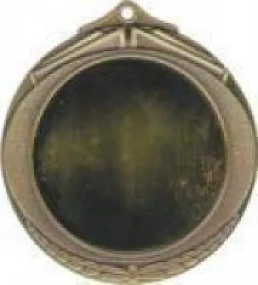 Insert Medallion Awards