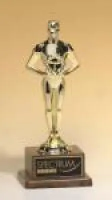 Male Victory Cast Awards