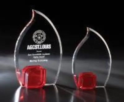 Red Optical Crystal Awards