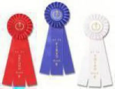 Rosette Award Ribbons