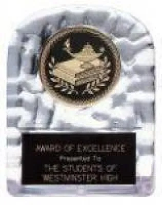Sculpted Ice Awards