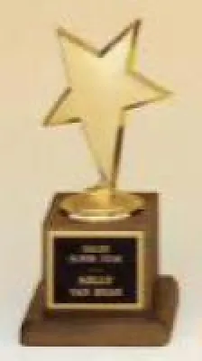 Star Cast Awards